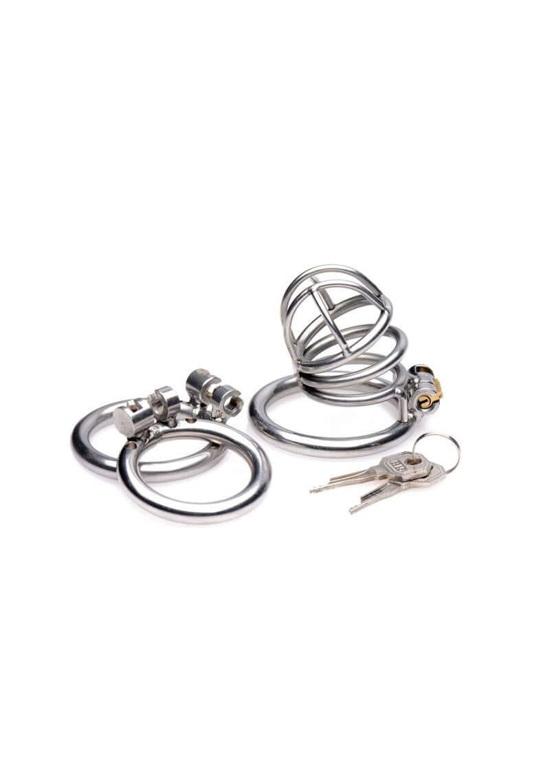 Master Series The Pen Deluxe Locking Chastity Cage metal device with rings and keys for secure confinement.