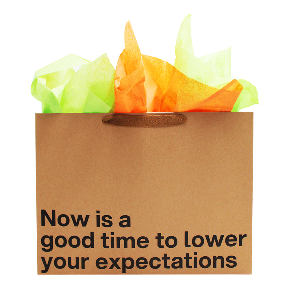Lower Your Expectations Large Gift Bag with colorful tissue paper and humorous message for fun gifting.