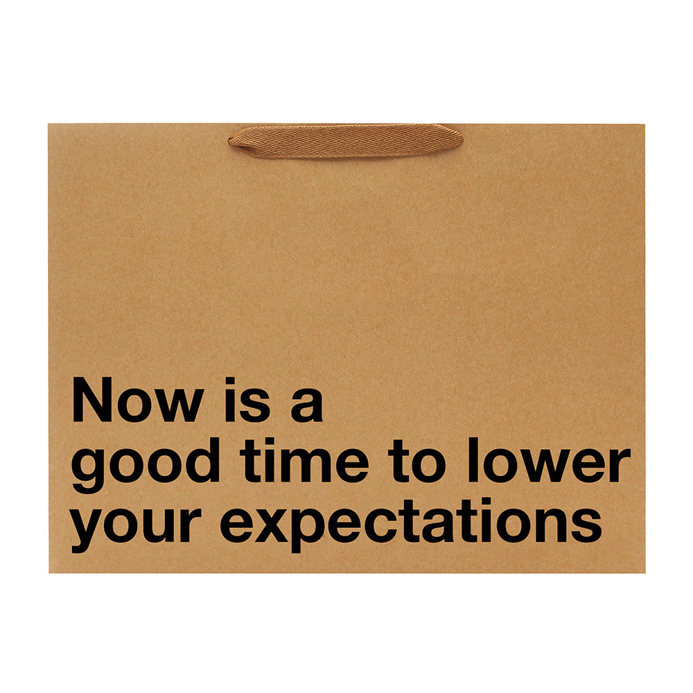 Lower Your Expectations Large Gift Bag featuring humorous text for gag gifts and playful presentations.