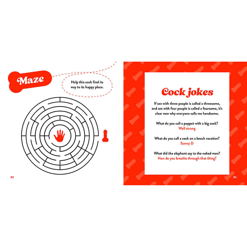 Image from The Little Book Of Cock featuring a maze and jokes for adult humor.