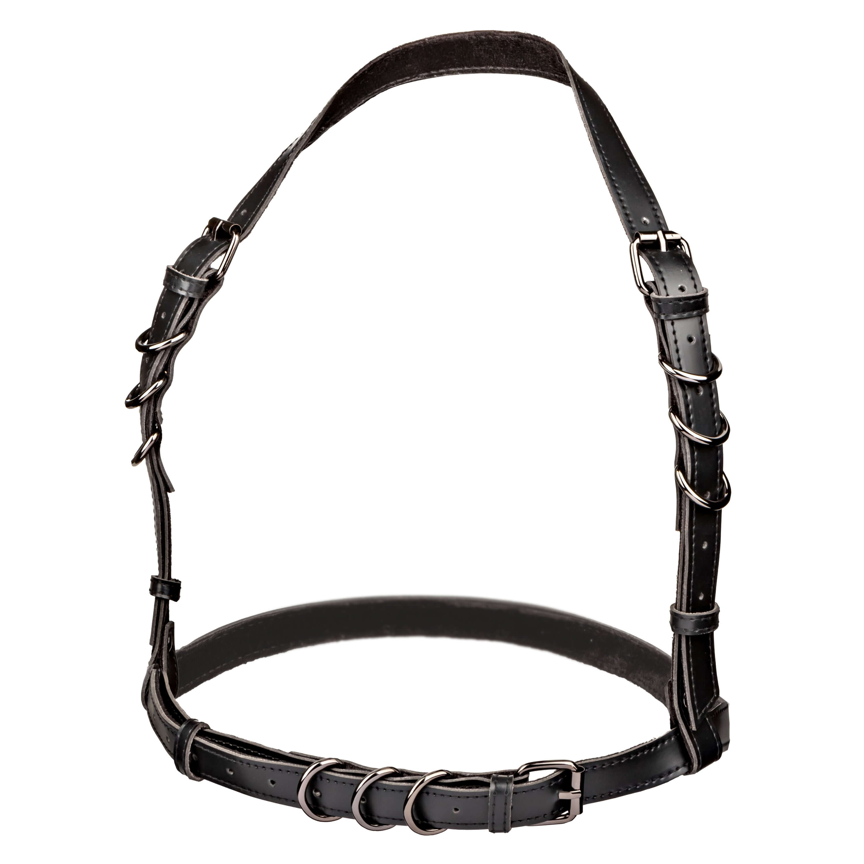 Euphoria Collection Halter Buckle Harness Black showcasing bold style and premium construction in a sleek design.
