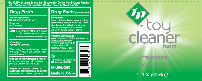 ID Toy Cleaner Foam 8.1 Oz label featuring antibacterial and alcohol-free formula with usage directions and drug facts.