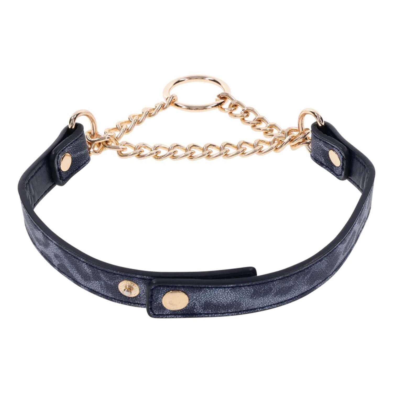 Stylish Cougar Day Collar with animal print faux leather and gold hardware, featuring a playful gold ring and chain for added excitement.