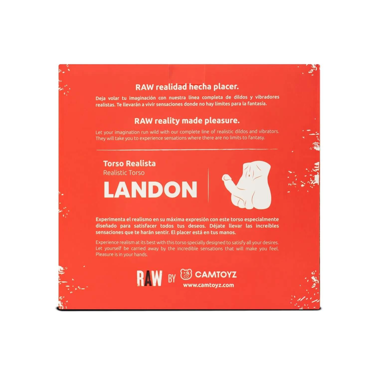 Raw Realistic Torso Landon-1