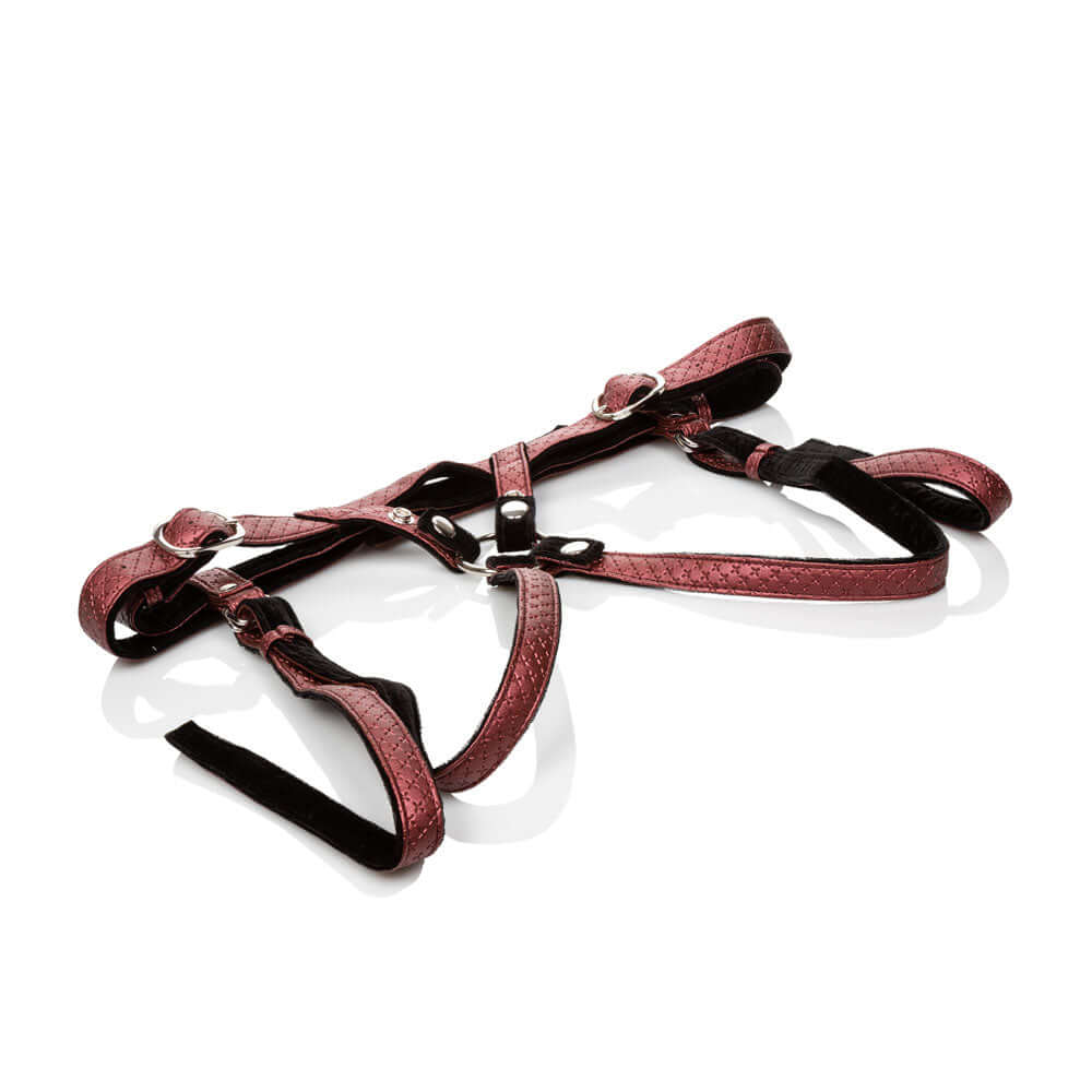 Her Royal Harness the Regal Duchess Red, a stylish and comfortable harness designed for premium pet fashion.