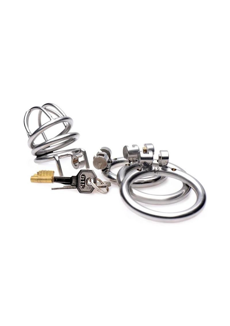 Master Series The Pen Deluxe Locking Chastity Cage with keys and components on a white background.