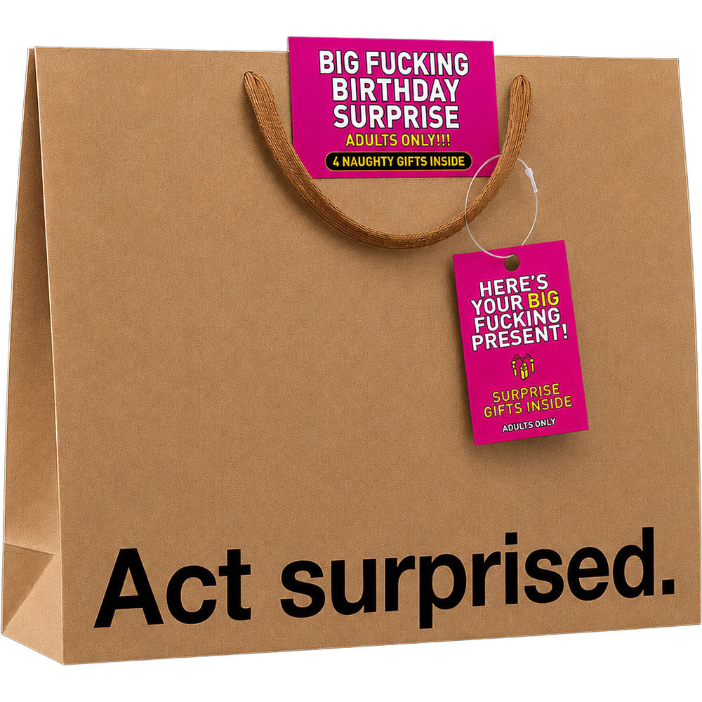 Big Fucking Birthday Surprise Big Present Gift Bag with bold text and playful tags for adult humor gifts.