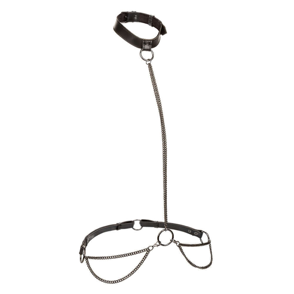 Euphoria Collection Plus Size Chain Halter/Collar and Leash - Black, premium multi-chain harness for empowerment and elegance