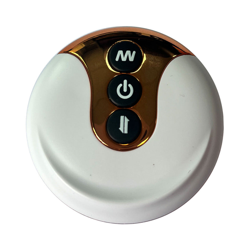 Adam & Eve The Squiggler Dual Density Gyrating Dildo remote control with three function buttons.