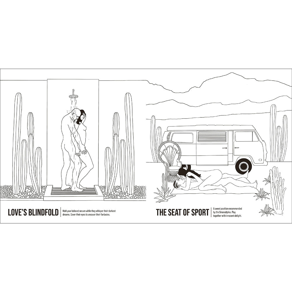Illustration from The Kama Sutra Coloring Book For Maximum Pleasure & Relaxation featuring Love's Blindfold and The Seat of Sport.