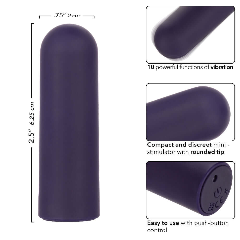 Turbo Buzz Rounded Mini Bullet in purple with 10 vibration functions, waterproof, discreet size 2.5 inches long, push-button control.