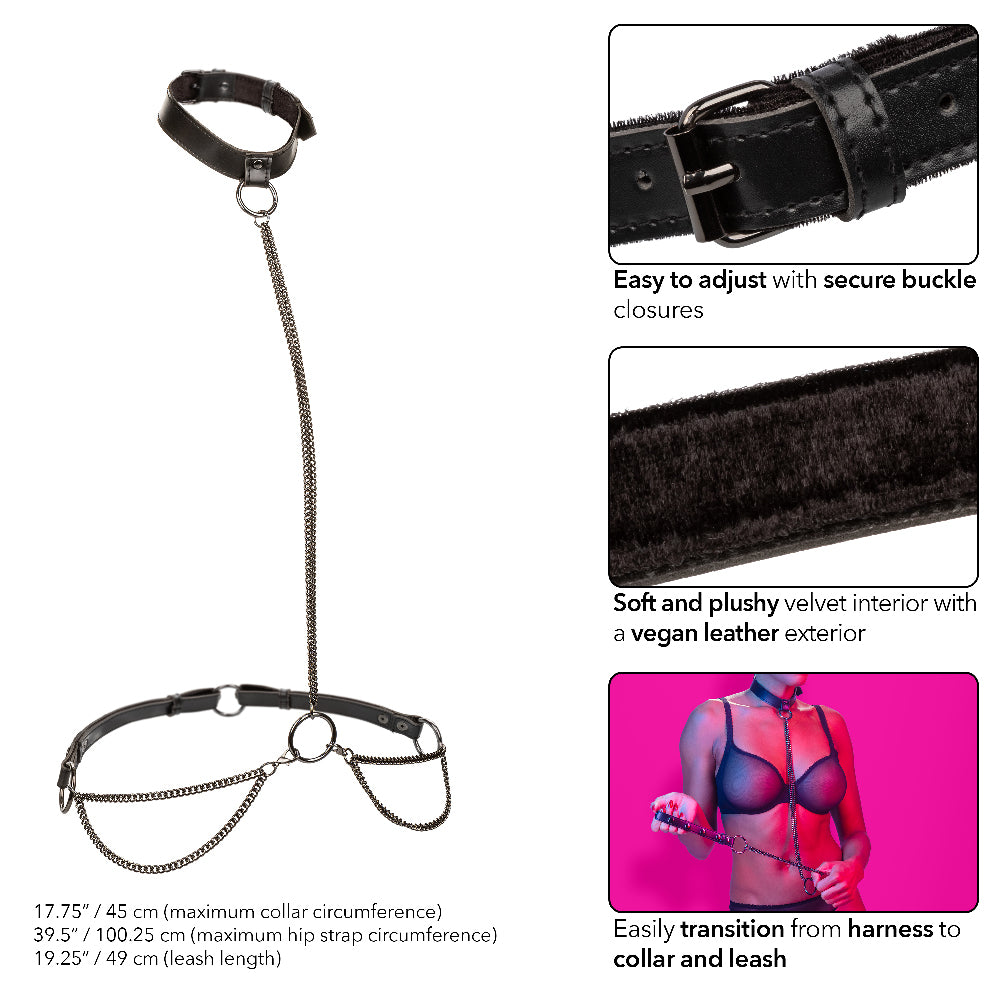 Euphoria Collection Chain Halter/collar and Leash  - Black-3