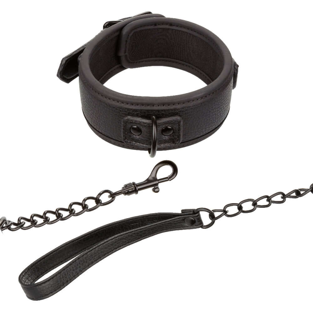 Nocturnal Collection black collar and detachable leash set with secure buckle closure for adjustable fit and versatility.