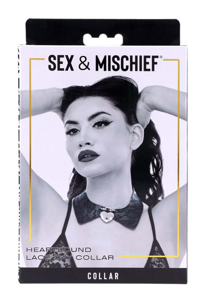 Heartbound Lace Day Collar-1