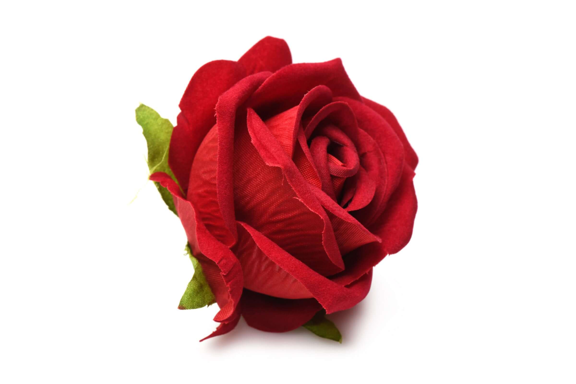 The Rose Lover's Gift Box Bloomgasm - Red-1