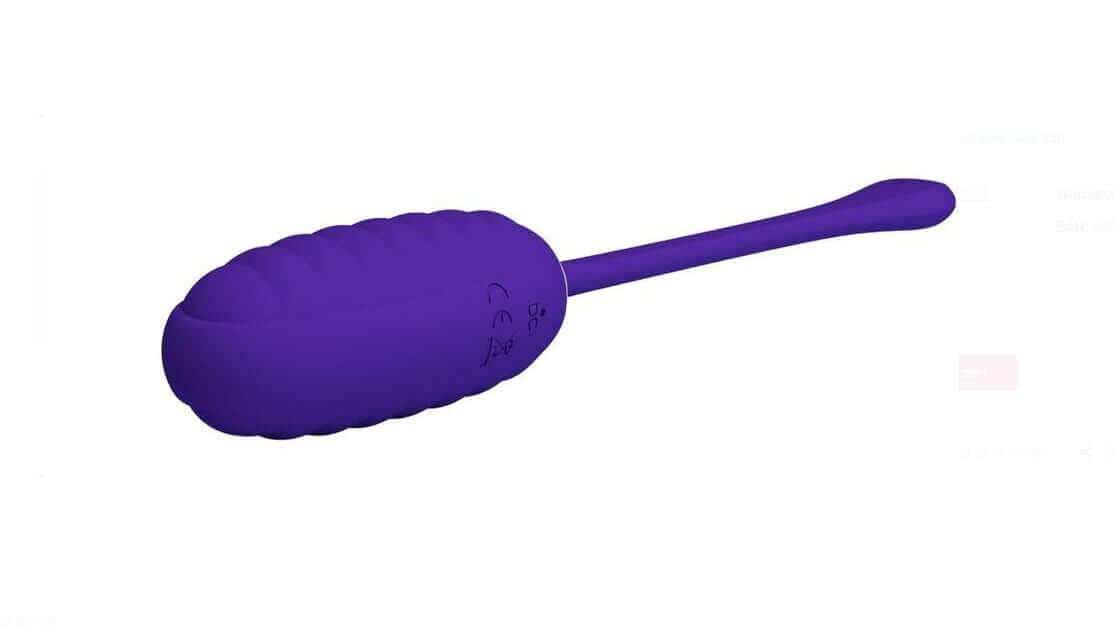 Kirk Rechargeable Vibrating Egg - Purple egg bullet with long tail for precise stimulation and discreet pleasure.