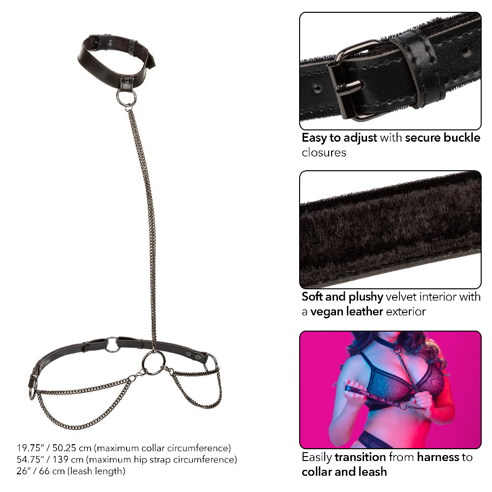 Euphoria Collection Plus Size Chain Halter/collar  and Leash - Black-2