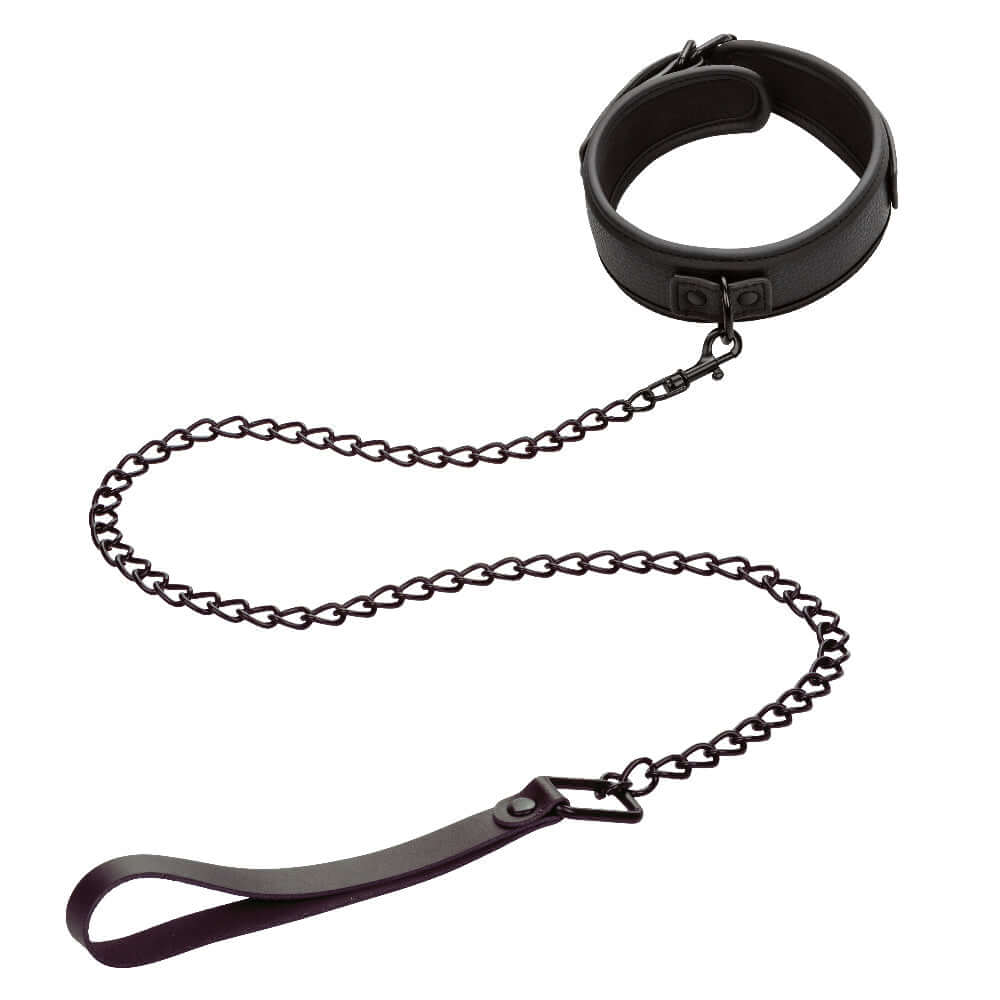 Nocturnal Collection black adjustable collar and detachable leash set for elegance and control, featuring sturdy chain and comfortable buckle closure.