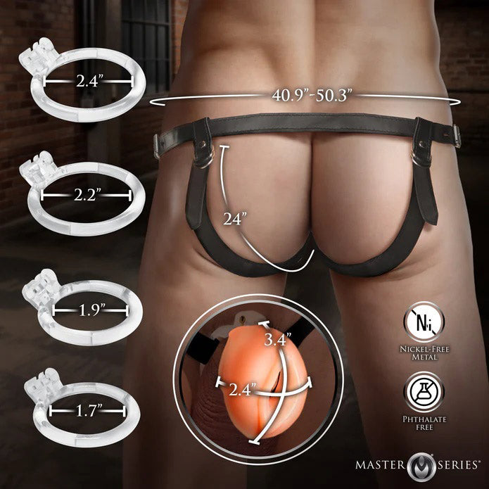 Pussy Chastity Cage - Light-2