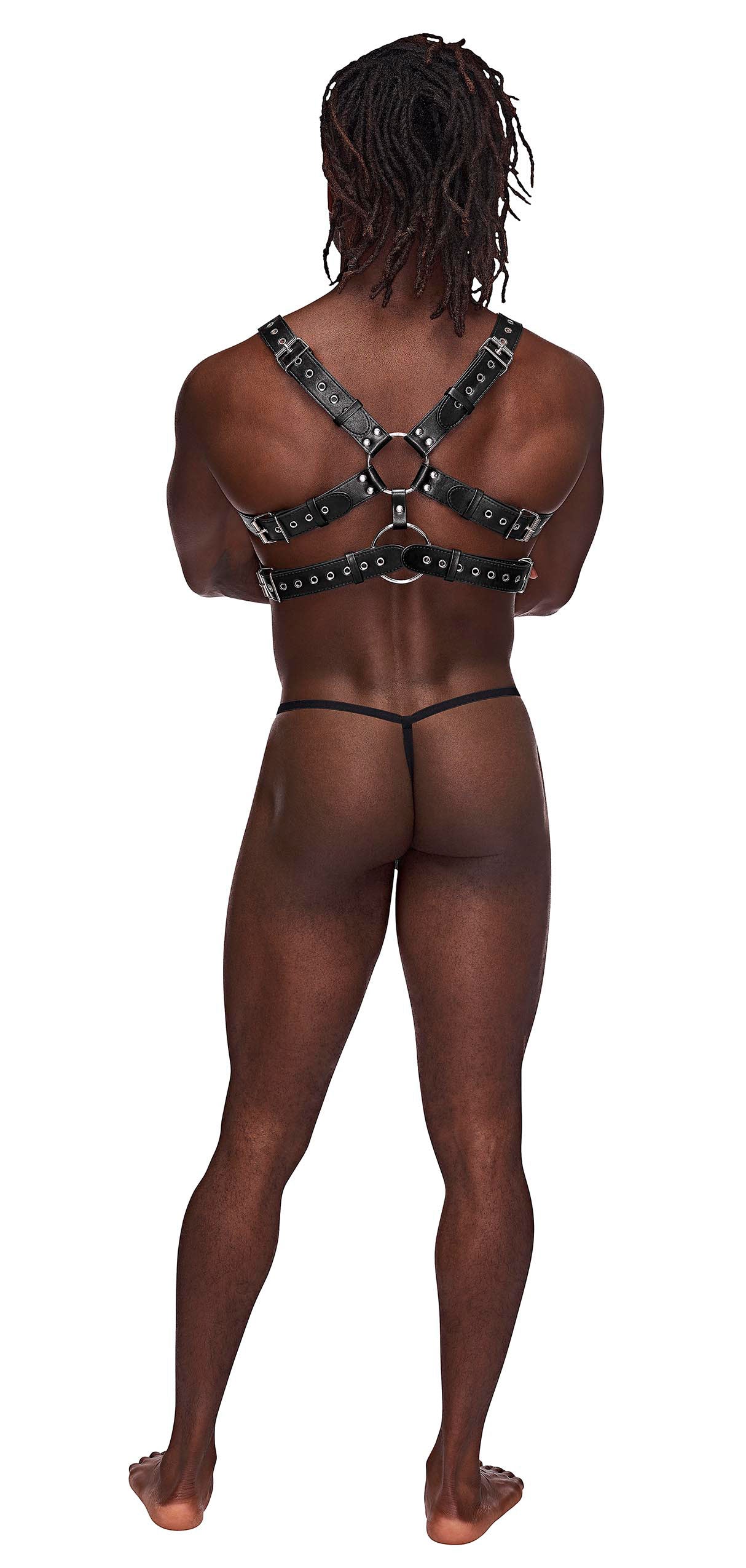Gemini Leather Harness - One Size - Black-0