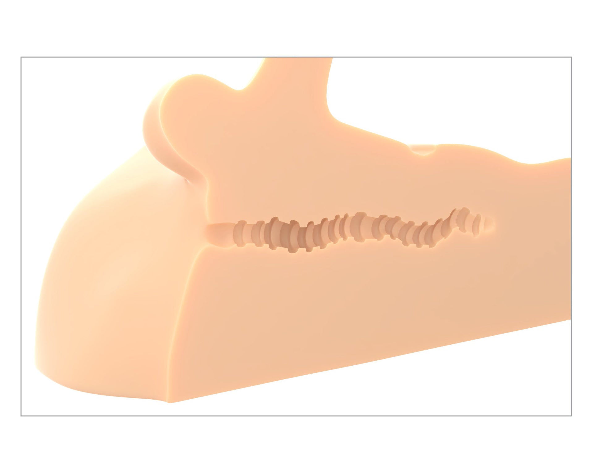 Pdx Extreme Plus Perfect Ride Masturbator Light close-up view showcasing flexible internal structure for customizable angles.