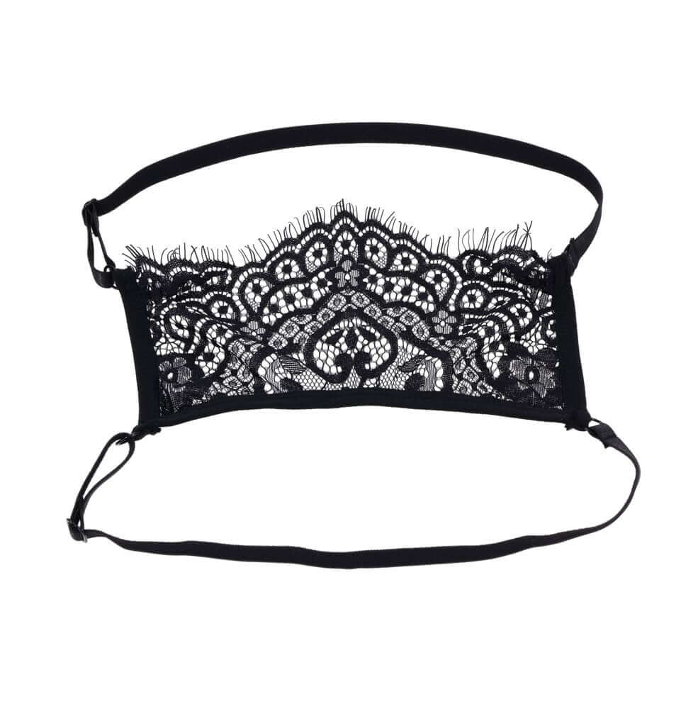 Veiled Vision Lace Blindfold-2