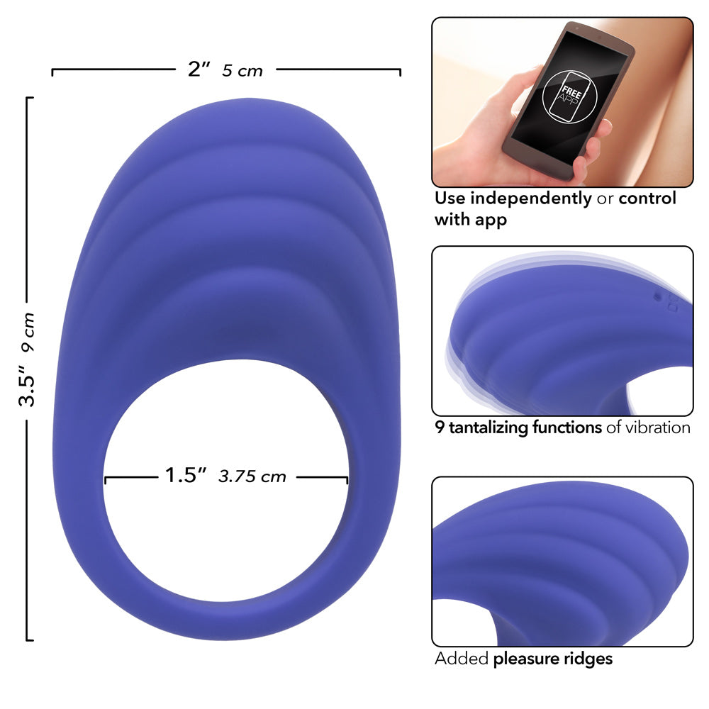 Calexotics Connect Couples Ring - Periwinkle-3