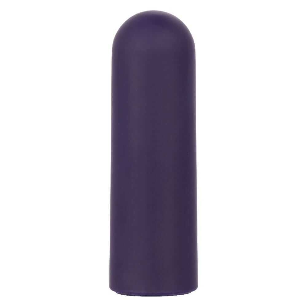 Turbo Buzz Rounded Mini Bullet Vibrator in Purple