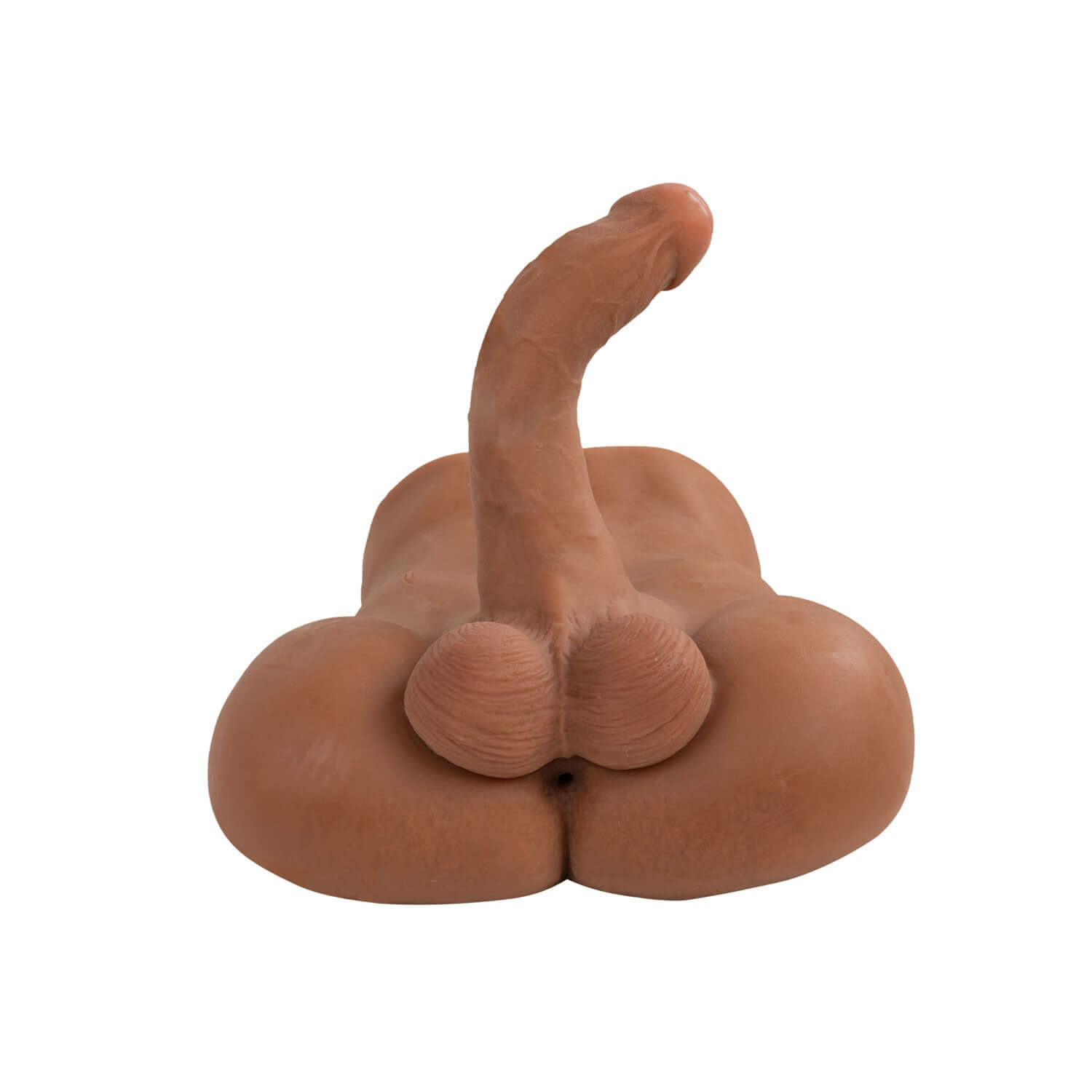 Raw Realistic Torso Landon-3