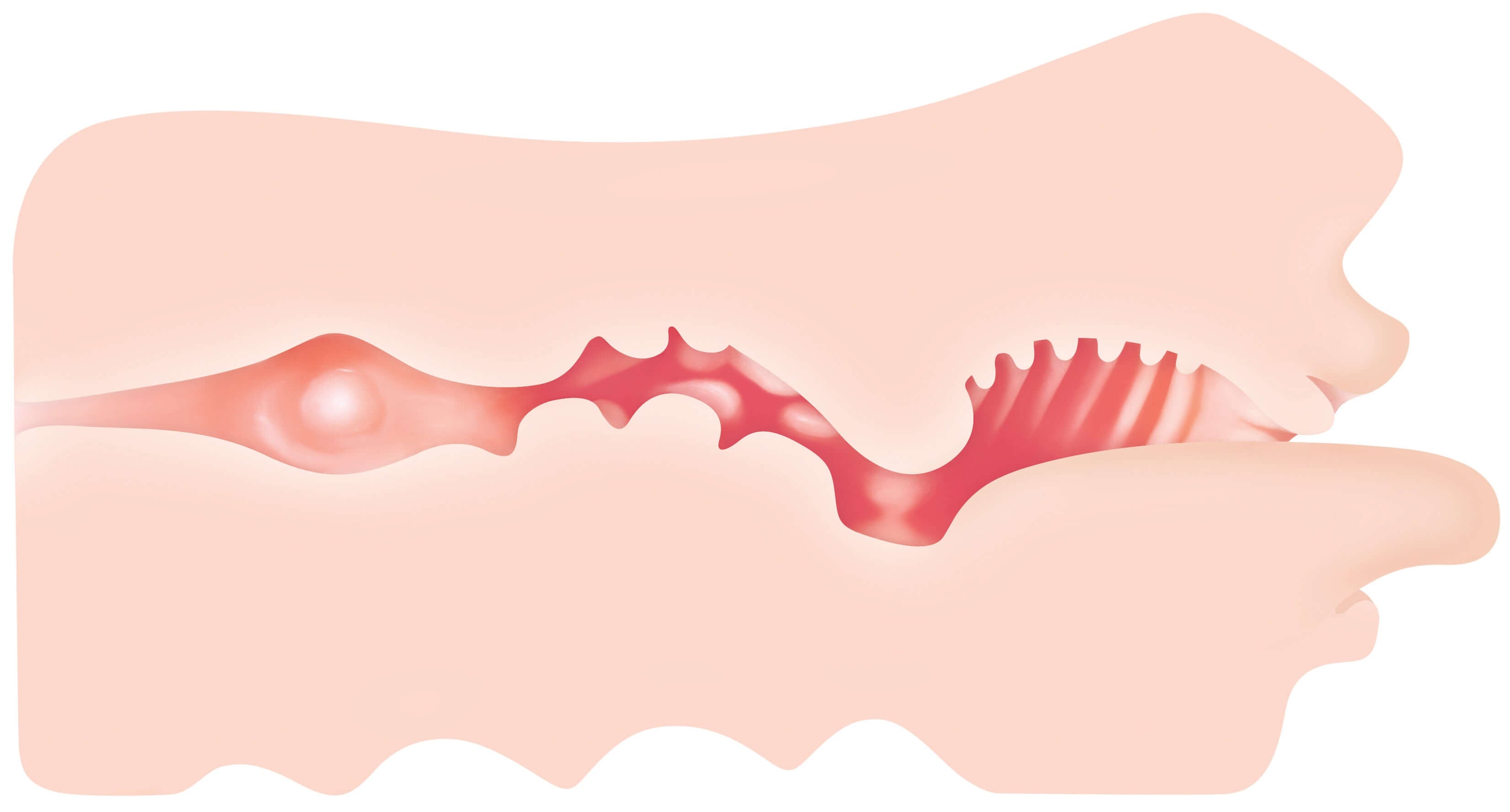Internal view of Zero Tolerance Real Mouth Stroker showcasing realistic textures and tongue feature for enhanced pleasure.