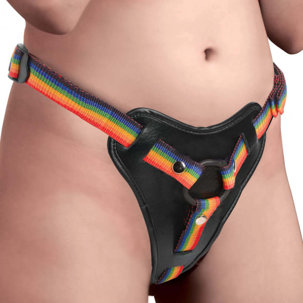 Take the Rainbow Universal Harness-6