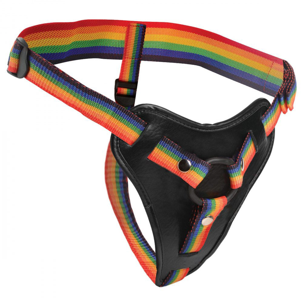 Take the Rainbow Universal Harness-1
