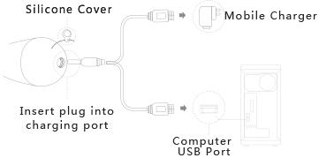 ZALO Baby Star Bullet Vibrator charging instructions for mobile and computer USB port.
