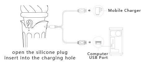 Diagram showing how to charge the ZALO Confidence Wand using a mobile charger or computer USB port.