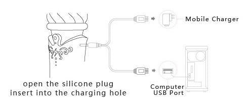Diagram showing how to charge the ZALO Courage G-spot Massager using a computer USB port or mobile charger, with instructions.