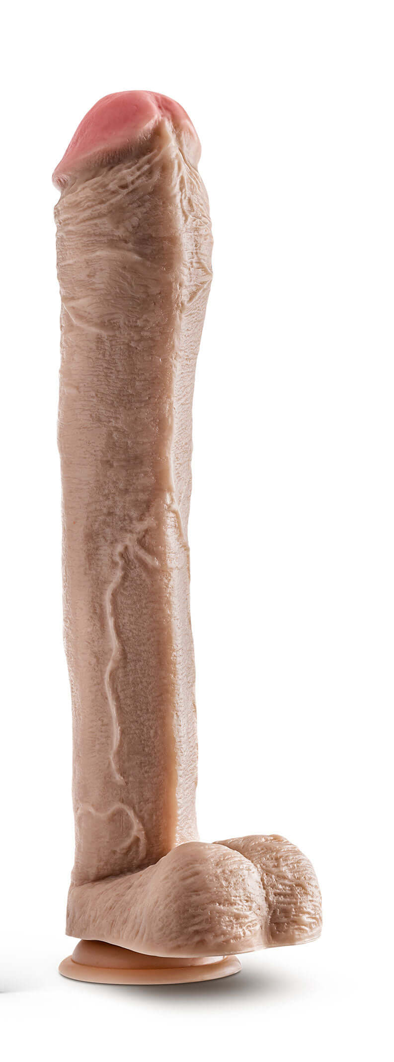 Dr Skin Mr Ed 13 Inch Dildo With Balls Beige standing upright on a flat surface