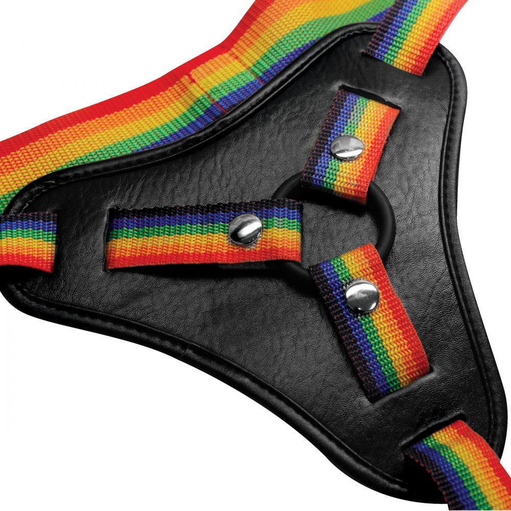 Take the Rainbow Universal Harness-3