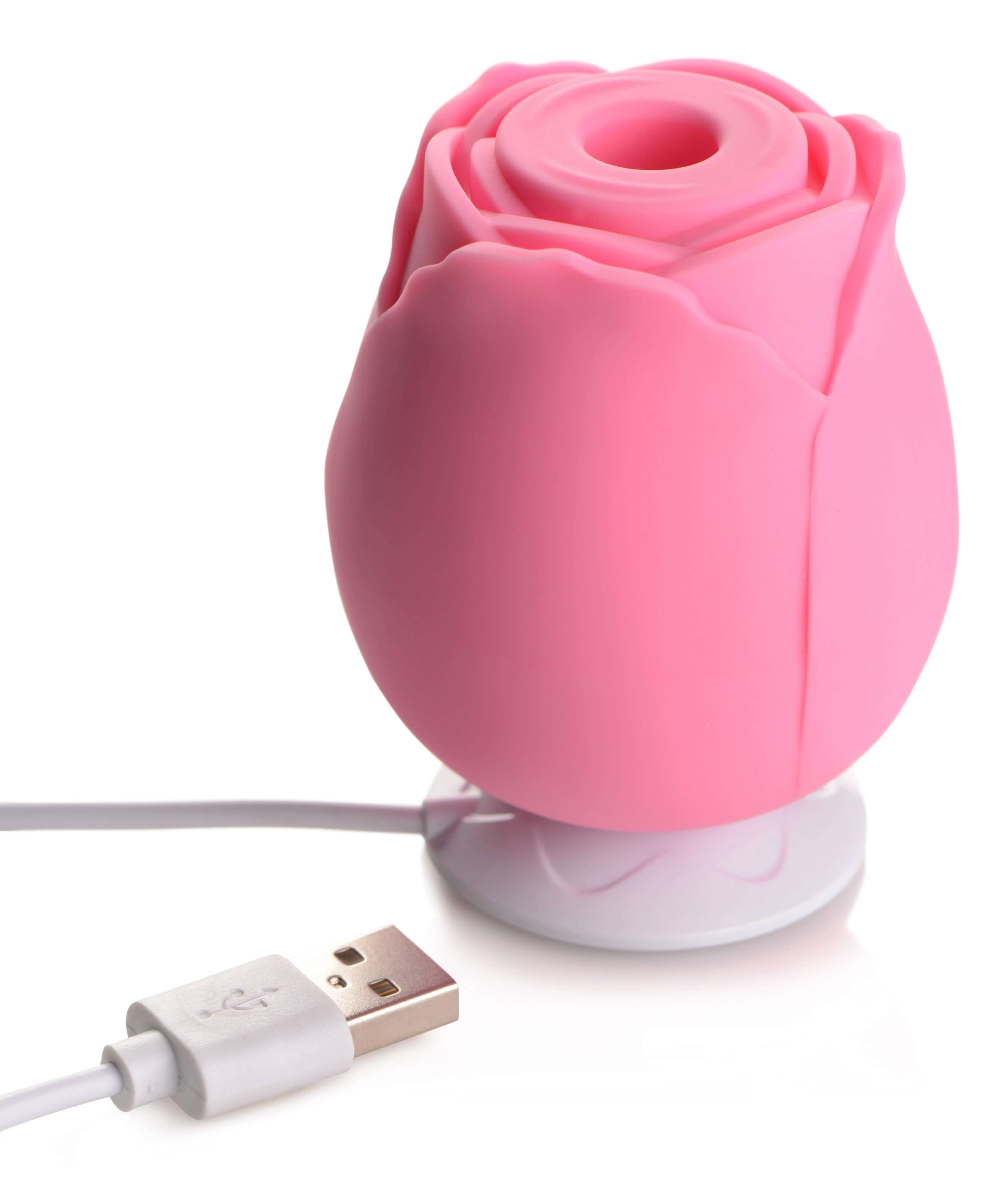 The Rose Lover's Gift Box Bloomgasm- Pink